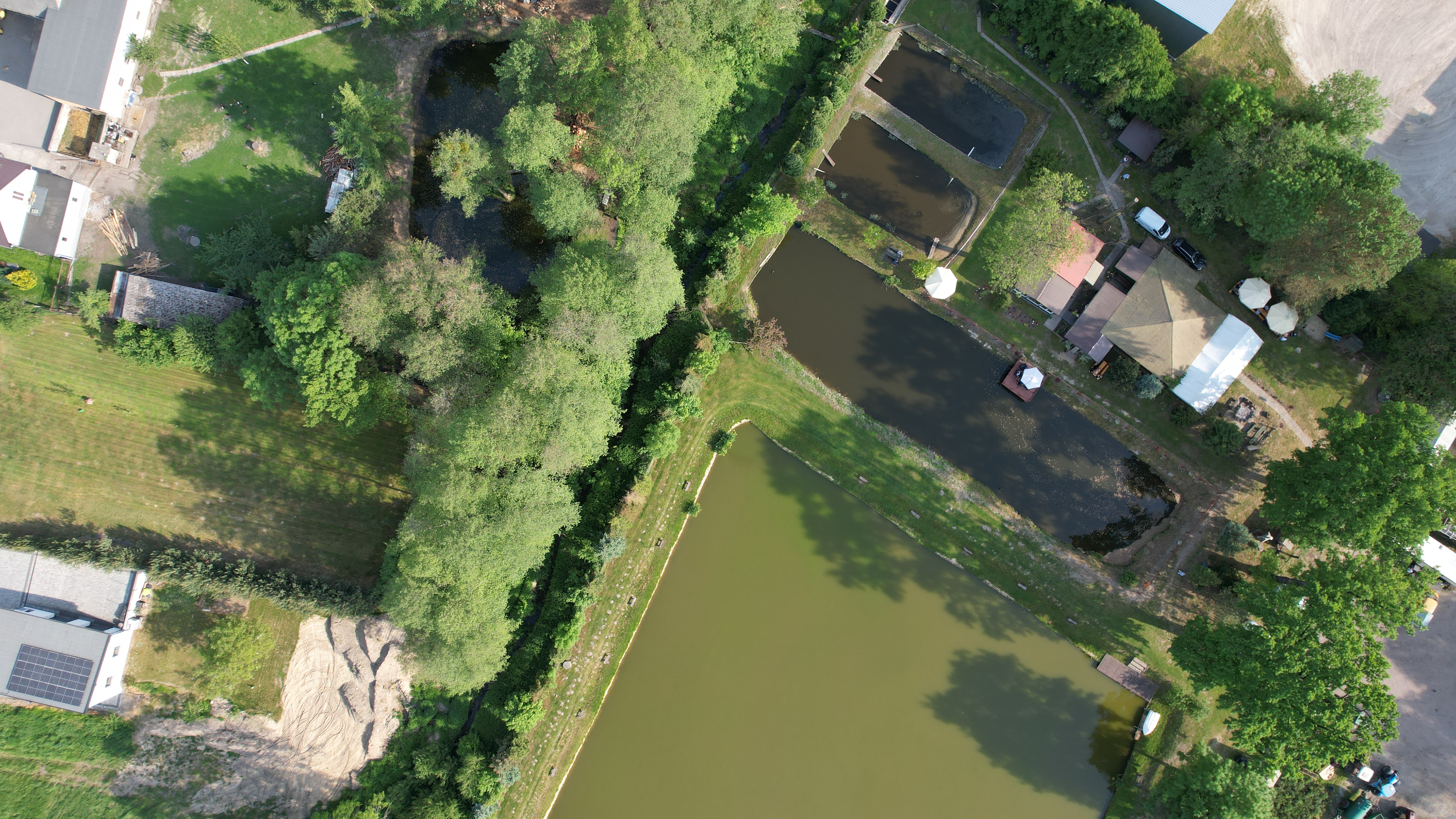 DJI 0303